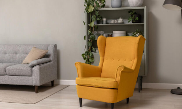 Wnętrza z charakterem: Unikalne sofy i fotele – Twój przewodnik po wyjątkowym designie